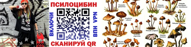 Купить закладки  Курганинск  Галлюциногенные грибы прущие грибы 