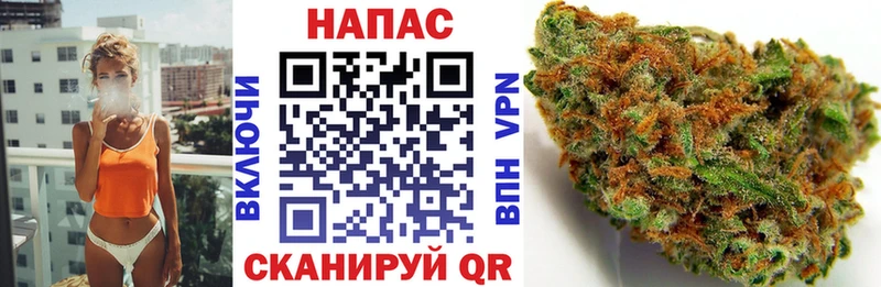 Купить закладки  Курганинск  Марихуана конопля 